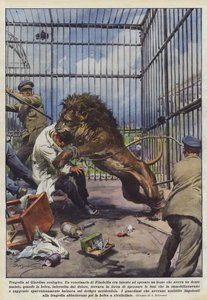 Tragedy at the Zoo