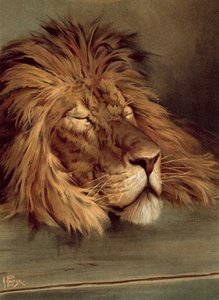 The British Lion Asleep