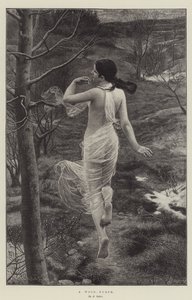 A Wood-Nymph