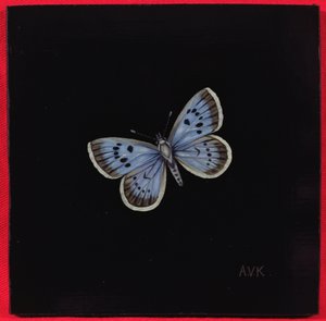 Large Blue Butterfly
