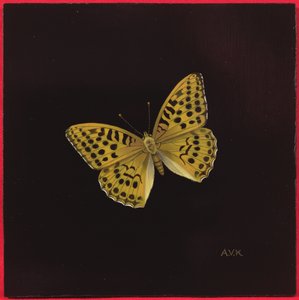 Silver Washed Fritillary Butterfly