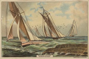 International Yacht Race, The Puritan and Genesta