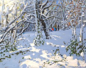 Christmas sledging in Allestree Woods