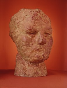 Head of Iris