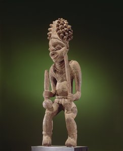 Figure, Cameroon