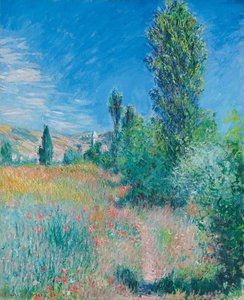Landscape on Saint-Martin Island