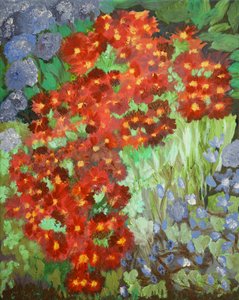 Cornish Flowers