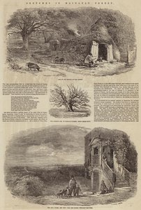 Sketches in Hainault Forest