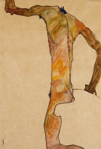 Male Nude