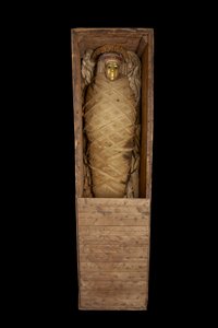 Mummy in coffin, from Hawara