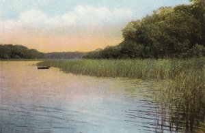 Fritton Lake