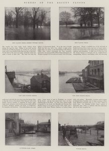 Scenes of the Recent Floods