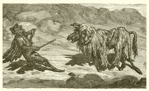 The Ass in the Lion