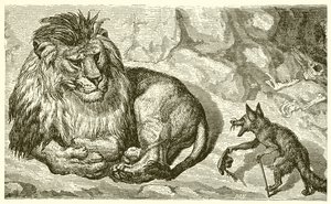 The Fox and the Lion