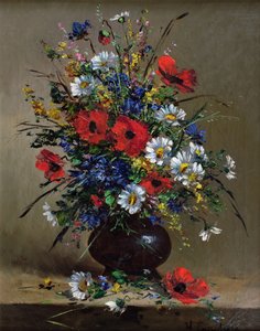 Poppies and Daisies