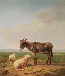 Ass and Sheep, 1849