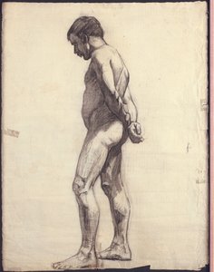 Standing Male Nude