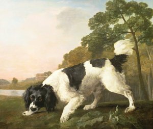 A Spaniel in a Landscape