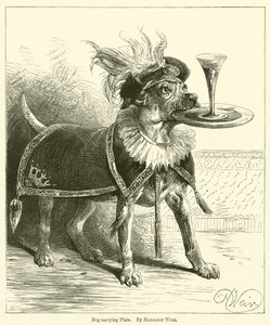 Dog Carrying Plate