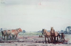 Plough Horses