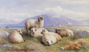 In the Heart of the Highlands