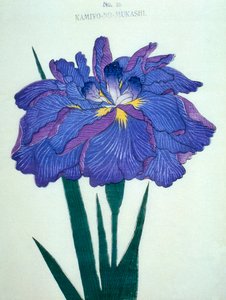 Kamiyo-no-Mukashi no.16, 1898