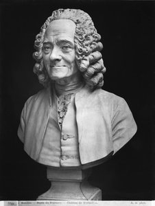 Bust of Voltaire