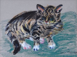 Tabby Cat, 2005
