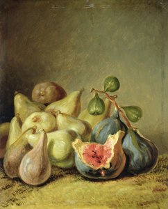 Fruit Still Life