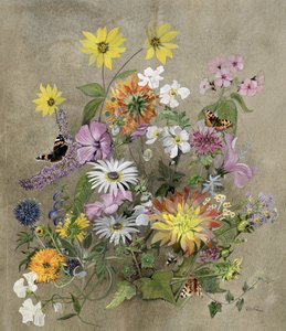 Summer Flowers