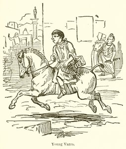 Young Varro