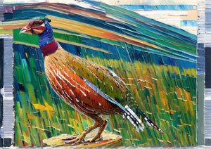 Pheasant 2