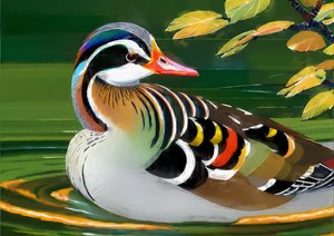 Animals: Mandarin Duck 1