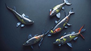Koi Carp Fish Rainbow
