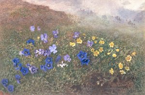 Spring Mountain Flowers, 1896