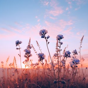 Flower Field 2