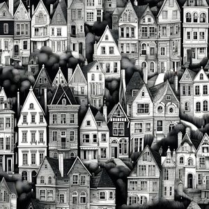 A Black and White Picture of Houses 3