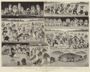 An Owlish Eccentricity