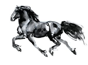 Flying Friesian