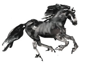 Gallop, 2015