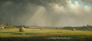Newburyport Meadows