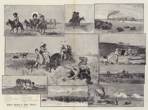 Buffalo Hunting in North America
