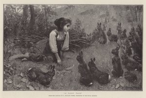 A Fairy Tale