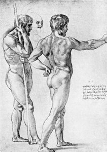 Two male nude studies