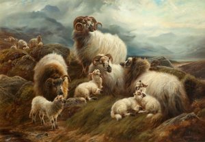 Sheep in a Landscape, 1894