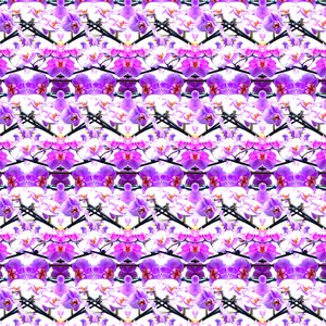 Purple Orchid Repeat