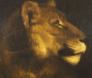 Head of a Lioness