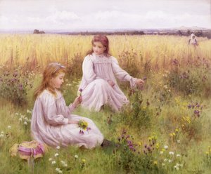 Meadow Flowers