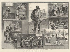 The French Sardine Industry