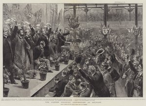 The Ulster Unionist Convention at Belfast